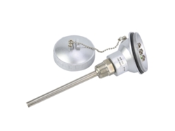 Sonda De Temperatura Rtd Pt100 Laxiscreed Com Rosca 1/2" Npt E Cabeça Termopar