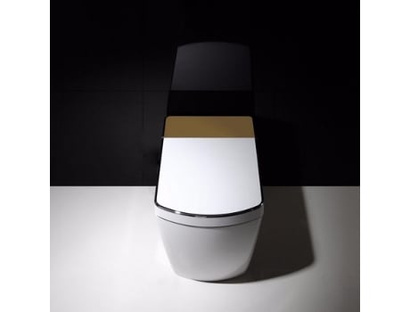 Sanita Japonesa Sl610 Saída Do Pavimento