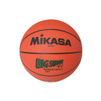 Basquetebol