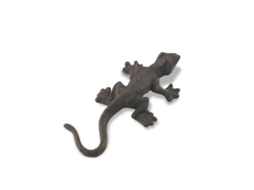 Lagarto BY SIGRIS