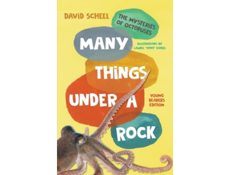 Livro Many Things Under a Rock Young Readers Edition The Mysteries of Octopuses de David Scheel (Inglês - Capa Dura)