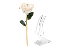 Rosa Dourada 24k Para Dia Dos Namorados E Aniversário