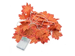 Luzes de fio maple outono 4m 40 LED, para outono, Halloween, exterior | S/MARCA
