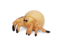 SAFARI Hermit Crabs Good Luck Minis