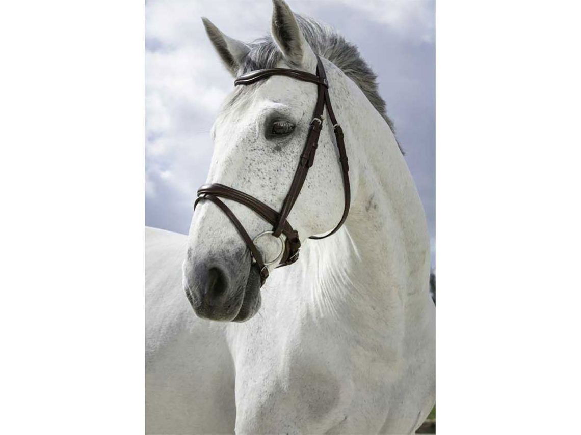 Cabeçada Combine Cinzento Cobnorton Equestrian
