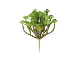 1Pcs Suculenta Artificial ALLINLESS