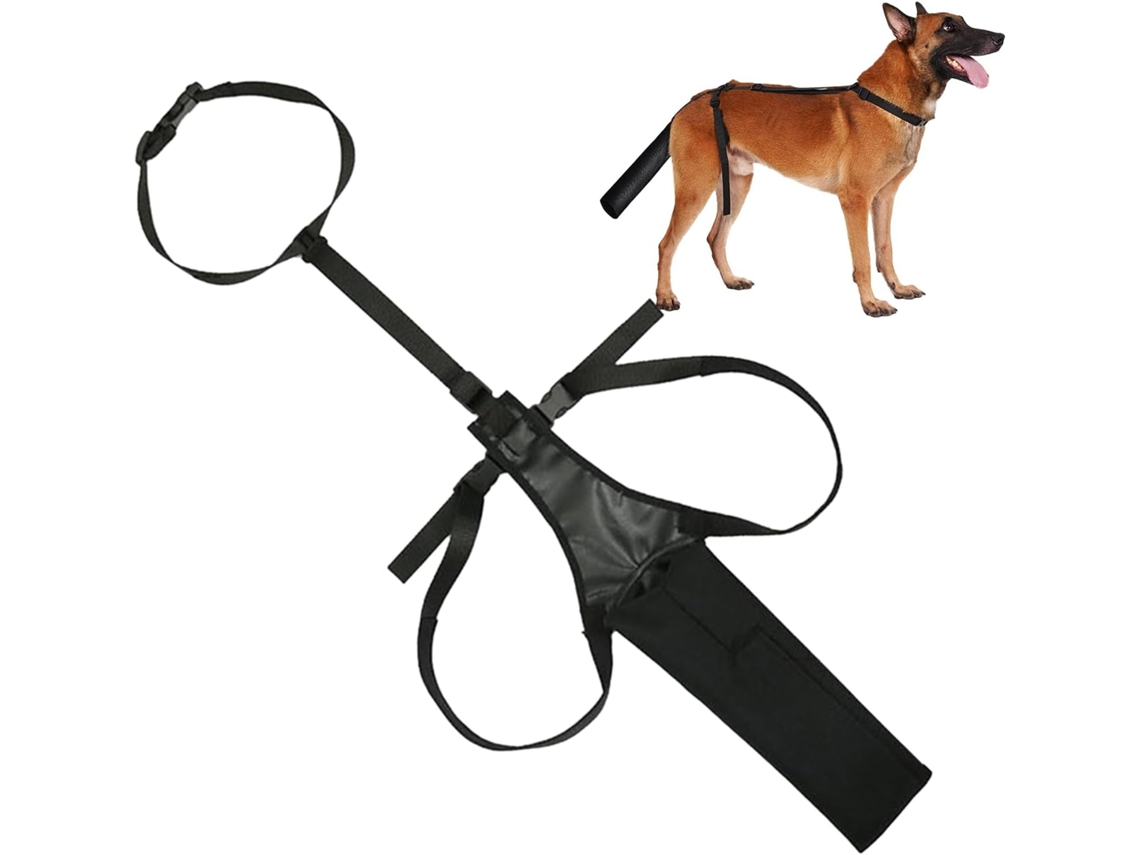 Protetor De Cauda Cães, Guarda Cauda E Cuidados Com A