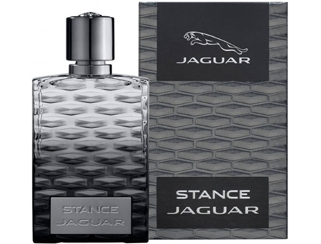 Perfume   Stance Eau de Toilette (100 ml)