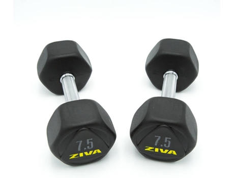 Conjunto de 2 Halteres  0757 (7.5 kg)