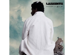 Vinil Labrinth -  Imagination And The Misfit