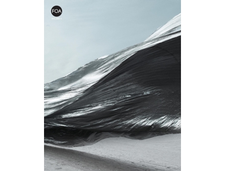 Livro Volume 5 de Friend of the Artist (Inglês)