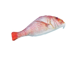 1 Estojo De Lápis Personalizado Com Imitação De Peixe, Tamanho 21 X 6,5 Cm-aquaforge