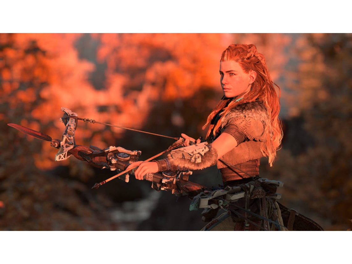 Jogo PS4 Horizon Zero Dawn (Collector's Edition) | Worten.pt