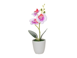 Planta de flor com vaso Phalaenopsis com 3 flores para decoração LAXISCREED