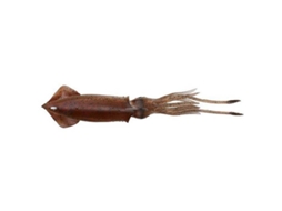 Savage Gear 3d Tpe Swim Squid 125 Mm 25 Gr