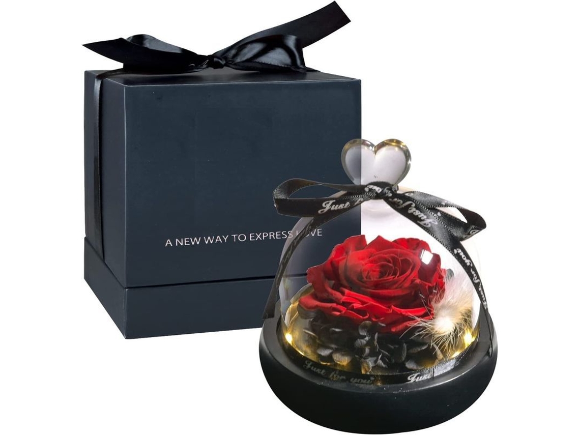 Linjou Rosa Preservada com Domo de Vidro e Luz LED S/MARCA