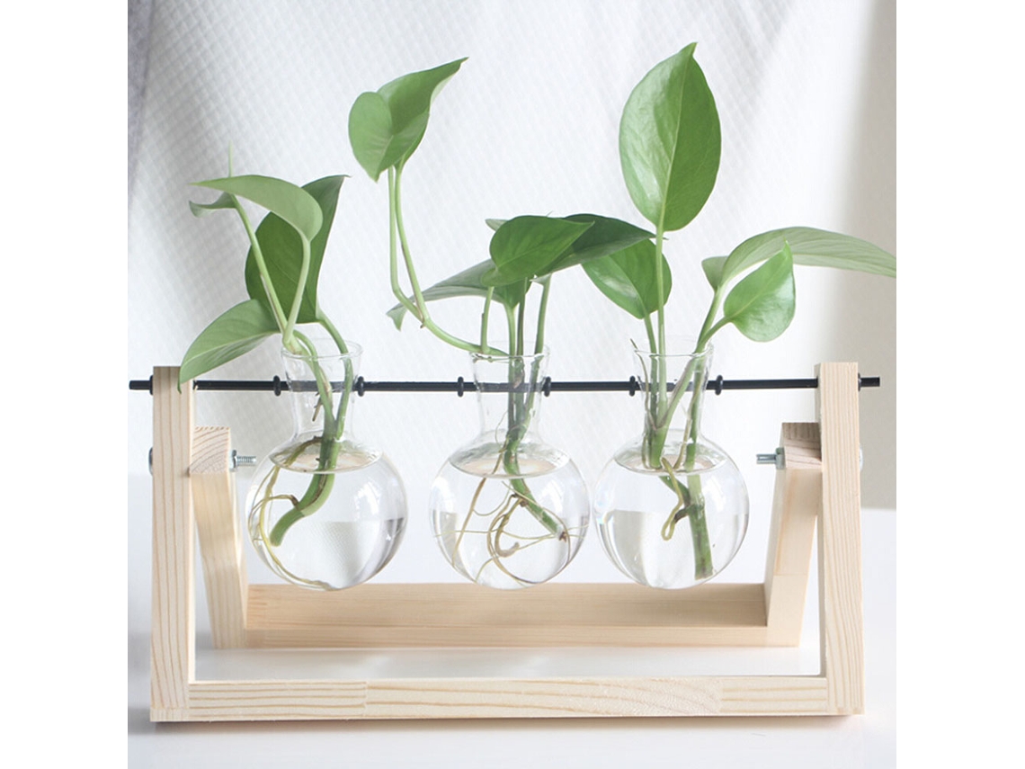 Suporte de Madeira Transparente para Plantas Hidropônicas Mesa Creativo
