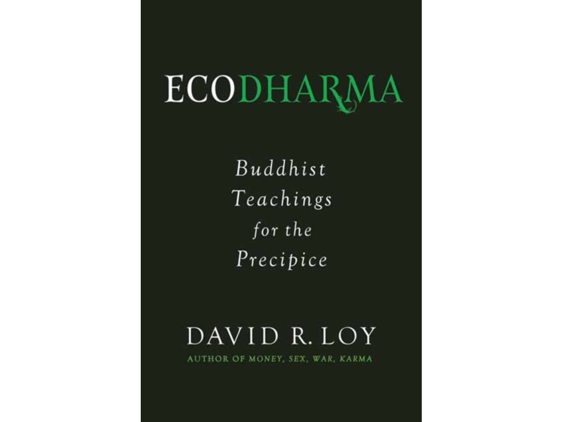 Livro Ecodharma de David Loy (Inglês)