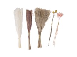 Buquê de Flores Secas Capim Pampas S/MARCA