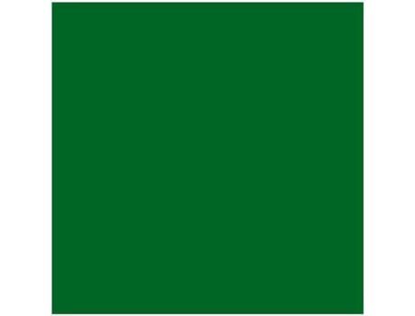 Toldo Lateral Liso para Tendas REGALOS MIGUEL  (3 m - Verde)