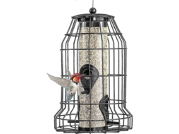 Aveirodo De Aves Selvagens Com 4 Portas, Design De Jaula Anti-esquilos Para Pássaros No Jardim
