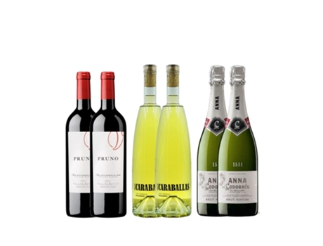 Pack 6 Garrafas Celebração Bodega Campoluz