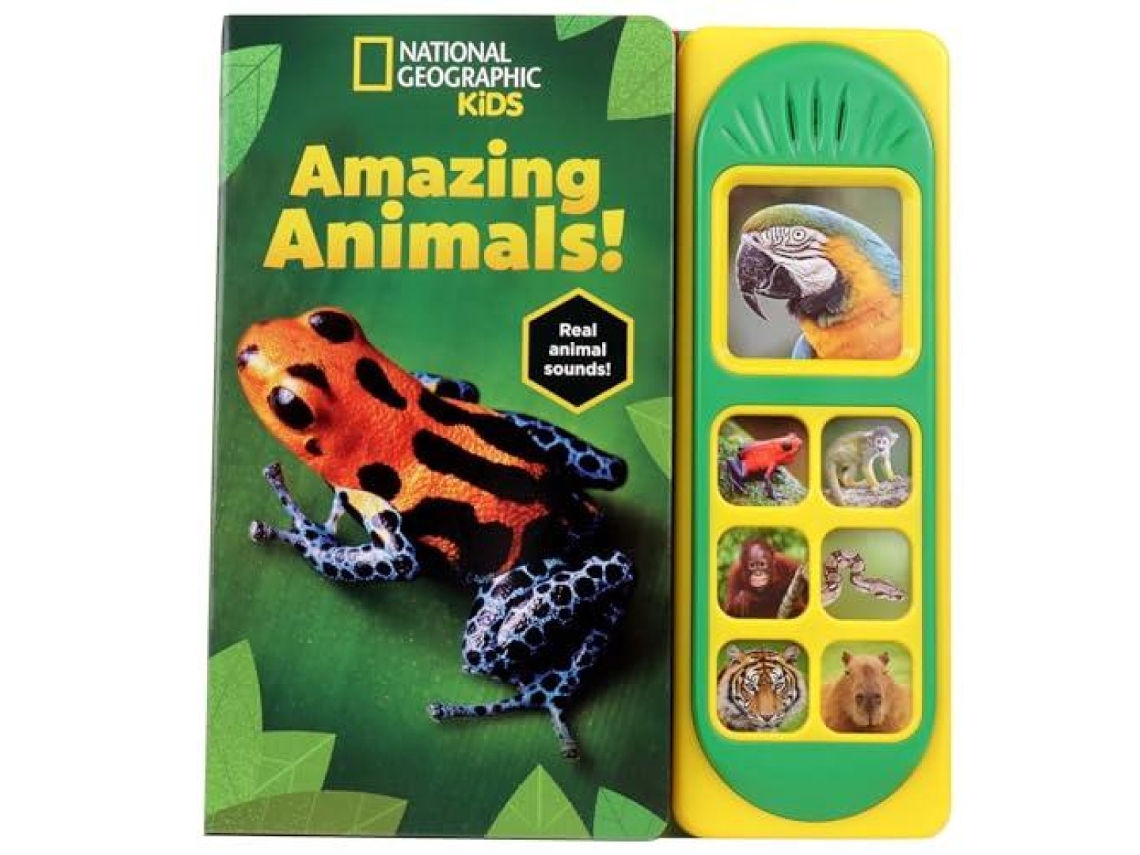 Livro National Geographic Kids Amazing Animals! Sound Book de Phoenix International Publications Incorporated (Inglês)