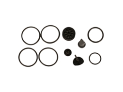 P-Valve Repair/Sparepart Kit Prateadooms