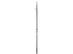 Cana de Surfcasting DAIWA Emblem Surf Tr 420 200 T 170G