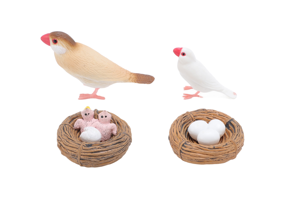 4 Peças Figuras Ciclo De Vida De Pardais Pvc Educativas Brincos Realistas Para Crianças