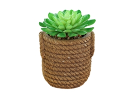 Flor Artificial Simulada Bonsai Suculento Grande Decoração Criativa Planta Artificial em Vaso NEVEANCE