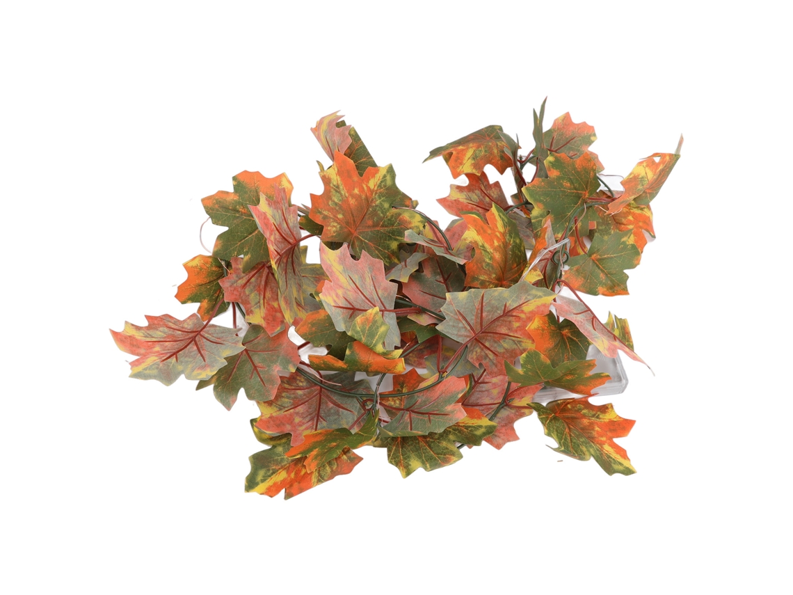 Laxiscreed Estante De Cristais Com Chapéu De Bruxa Para Decoração E Organização De Halloween