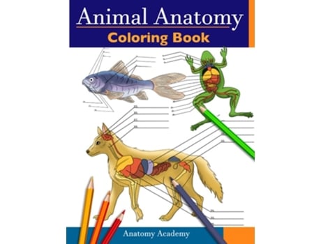 Livro Animal Anatomy Coloring Book De Anatomy Academy (inglês)