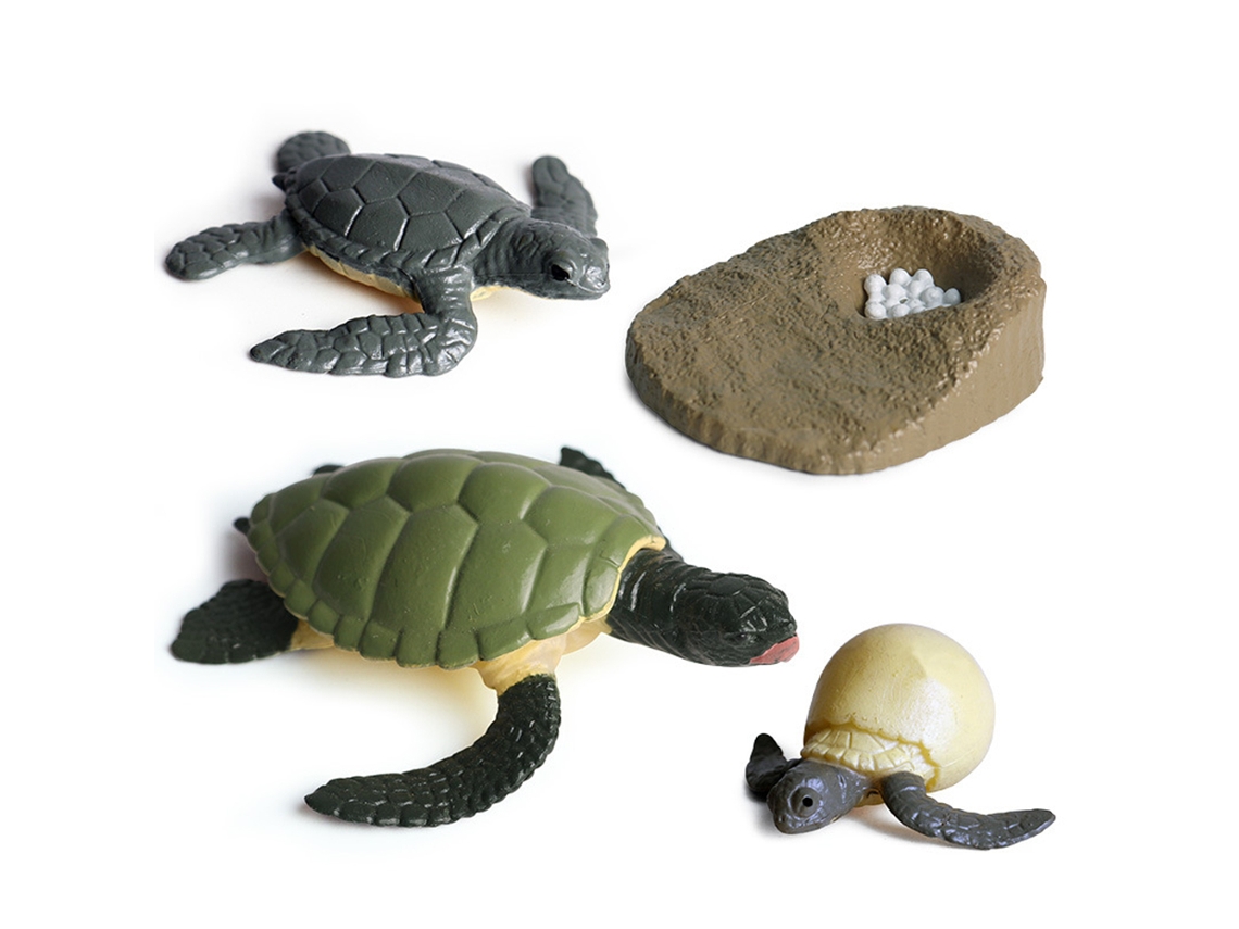 Primerox brinquedo de Modelo Animal Simulado Ciclo de Vida Pvc para Crianças com Formiga, Tartaruga, Galo, Mosquito e Rã