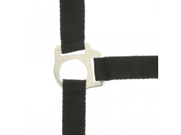 Halter Riding World Club