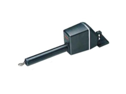 Raymarine Unidade de Potência Linear