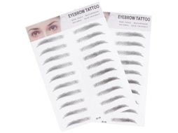 2pcs Ferramenta De Sobrancelha Allinless