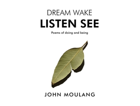 Livro Dream Wake Listen See De John Moulang (inglês)
