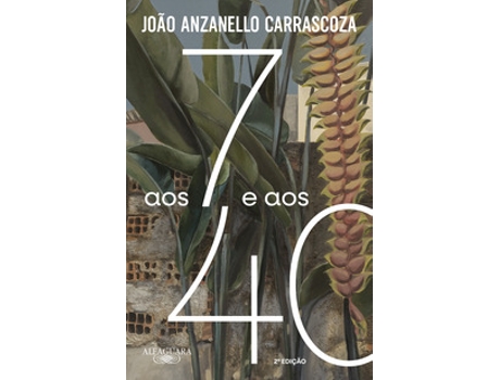 Livro Aos 7 E Aos 40 De João Anzanello Carrascoza (português Do Brasil)