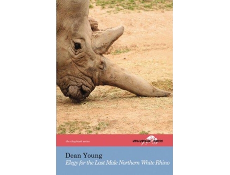 Livro Elegy for the Last Male Northern White Rhino the Hollyridge Press Chapbook Series de Dean Young (Inglês)
