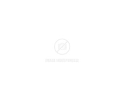 Laserjet E40040Dn Mfp 40Ppm A4 3Pz35A HP