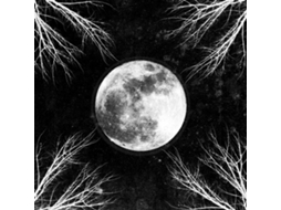 CD Corpus Christii - PaleMoon