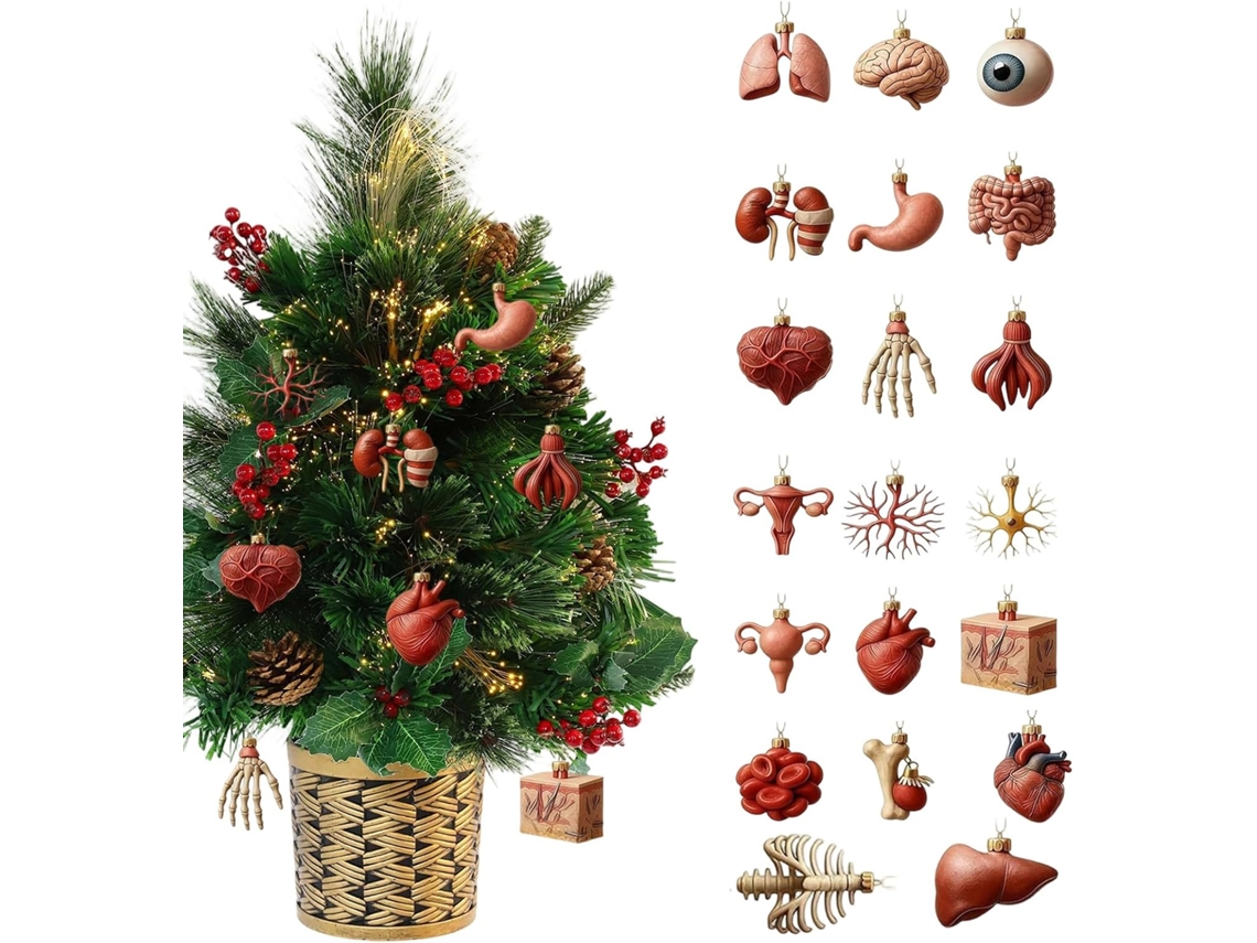 Calendário Do Advento De Natal 2025| Pingente 2d Para Decoração De Casa, Anatômico Inspirado Na Ciência-