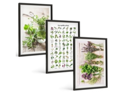 Quadros Decorativos Para Parede Ervas Secas Para A Cozinha Moldura Preta Imagens Para Um Quarto Infantil Espelharte (3 Piezas De 40x60 Cm)