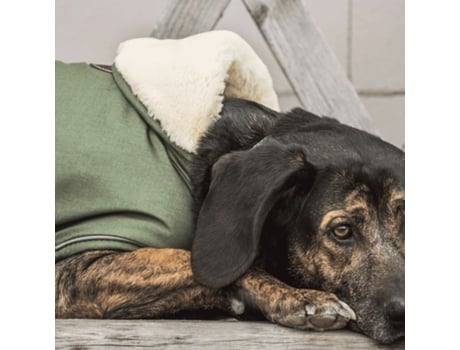 Casaco Impermeável Unisexo KENTUCKY DOGWEAR (39/43 cm - Verde)