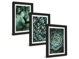 Pinturas Murais Modernasfolhas Verdes, Suculentas, Estilo Moldura Preta Fotos Para O Corredor Espelharte (3 Peças 20x30 Cm)
