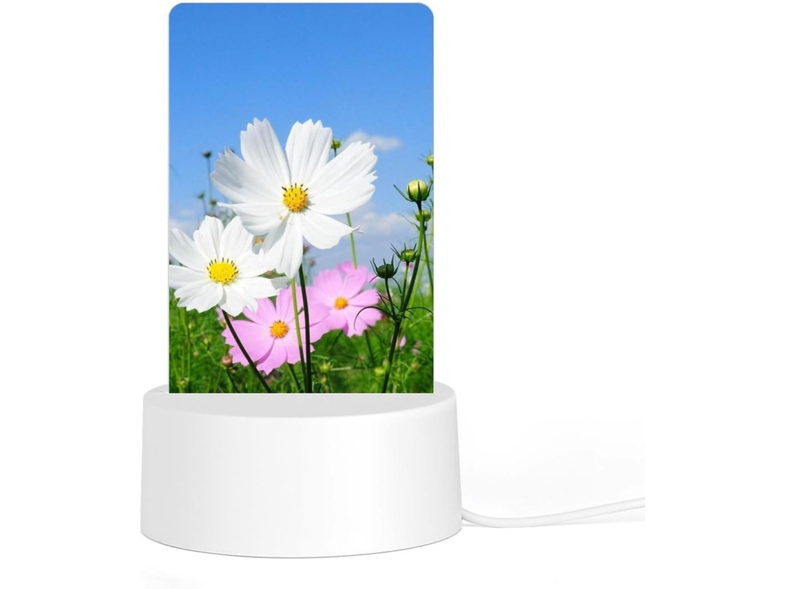 Luminária Noturna Rosa E Branca em Formato de Flor, Durável, Resistente a Ponteiras, com LEDs que Não Inflamáveis, Prática