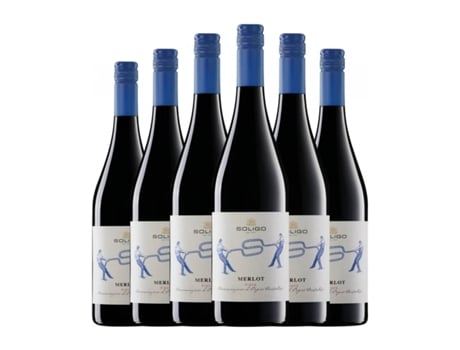 Vinho COLLI DEL SOLIGO Merlot Piave (0.75 L - 6 Unidades)