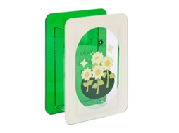 vaso de Flores de Acrílico Moderno Porta Ramilletes Estética | S/MARCA