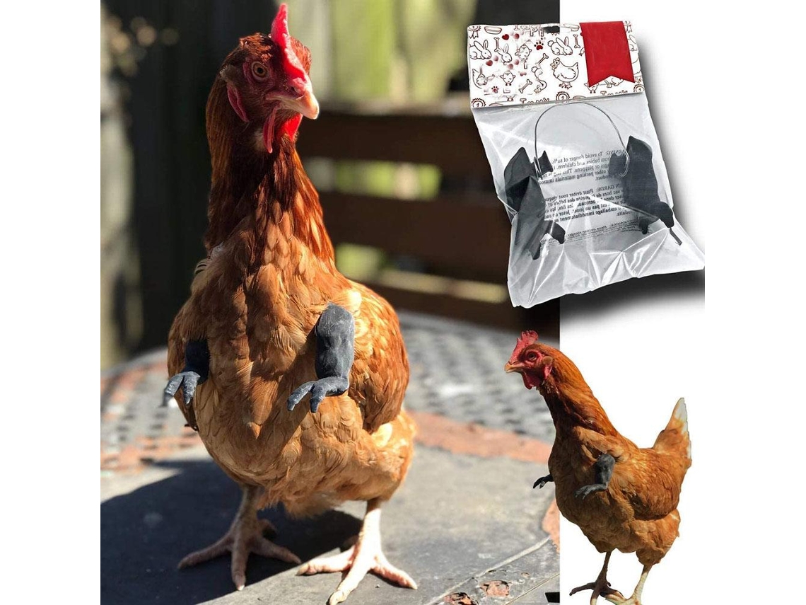 Braços De Frango Brinquedo Traje De Galo Presente Engraçado